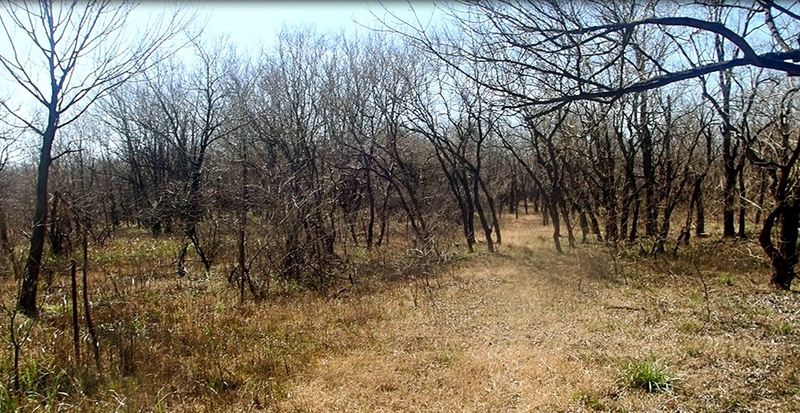 Noack Trail, south of Miles Trail.