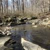 Gently flowing waters highlight this trail