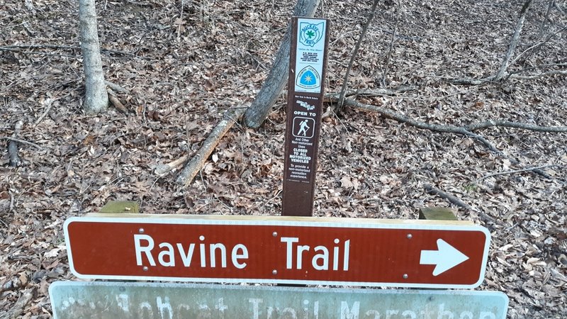 Ravine Trail Sign