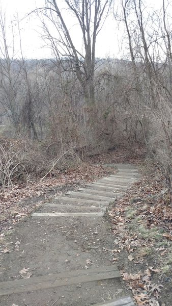 Stairs on the oxbow