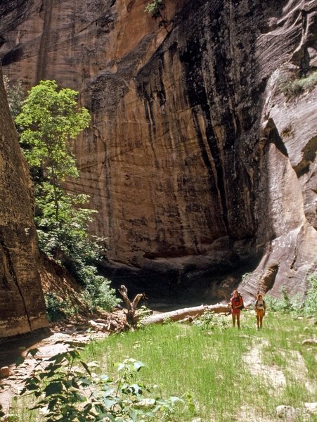 In the canyon of the North Fork of the Virgin River.