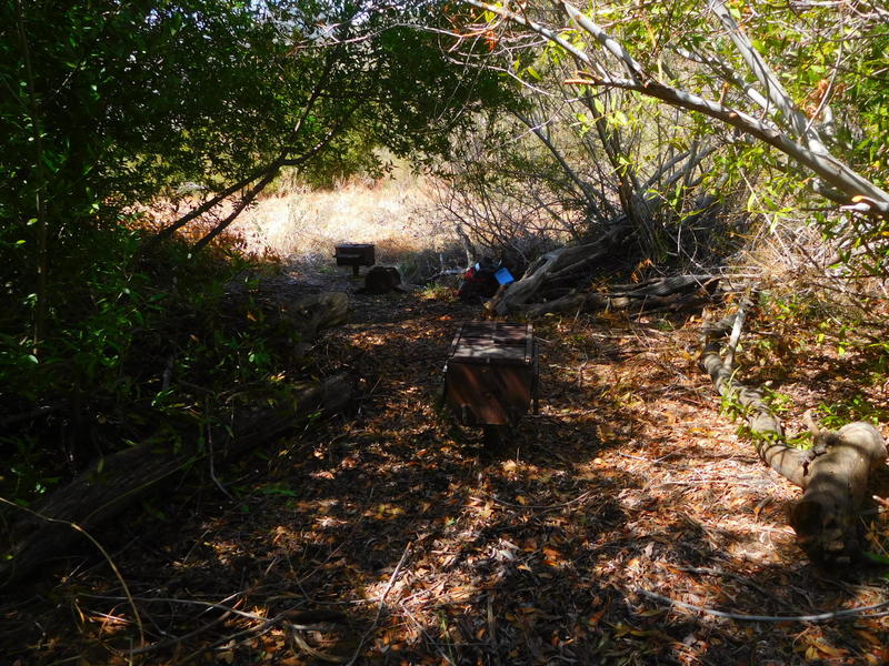 Tom Lucas Trail Camp and meadow