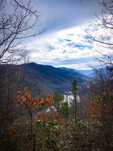 View above Lake Logan on Cold Mountain 50k and 25k course.