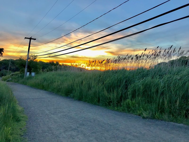 Sunset on the Trolley Trail