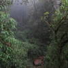 Small view of the trail passing on the bottom, close to the boulder.