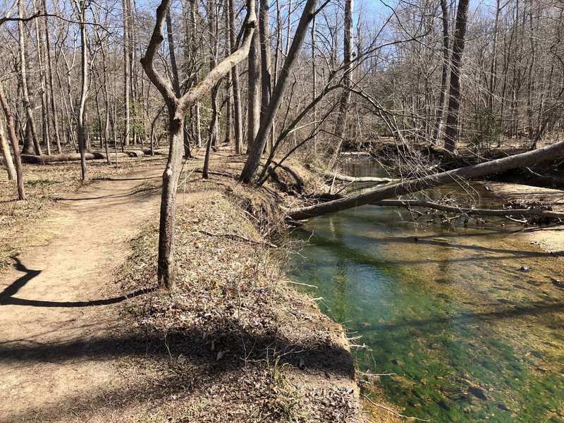 Trail by the water