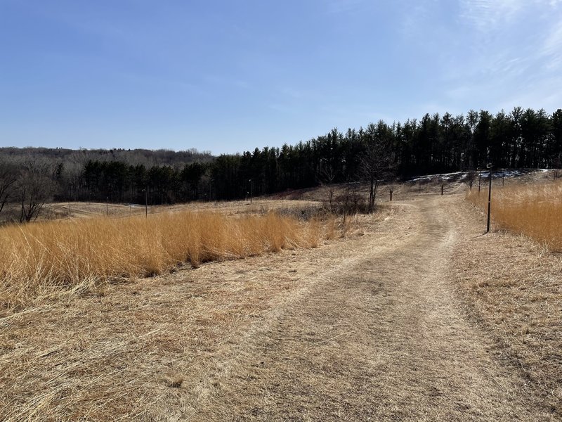 Grasslands at Battle Creek Regional Park on the World Championship Course during spring.