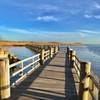 Ferry Landing Boardwalk