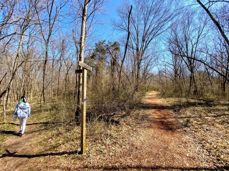 Split at the East River and Barred Owl Trails