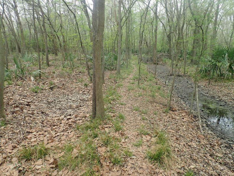 The trail running northwest from the pipeline crossing of Turkey Creek.