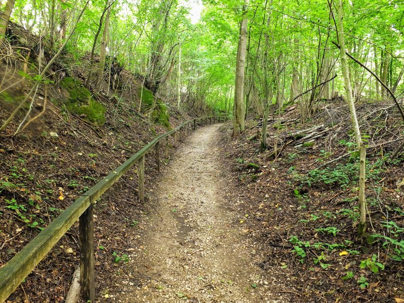 Trail segment on the Frankeweg, one of Germany's famous long-distance trails.