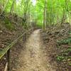 Trail segment on the Frankeweg, one of Germany's famous long-distance trails.