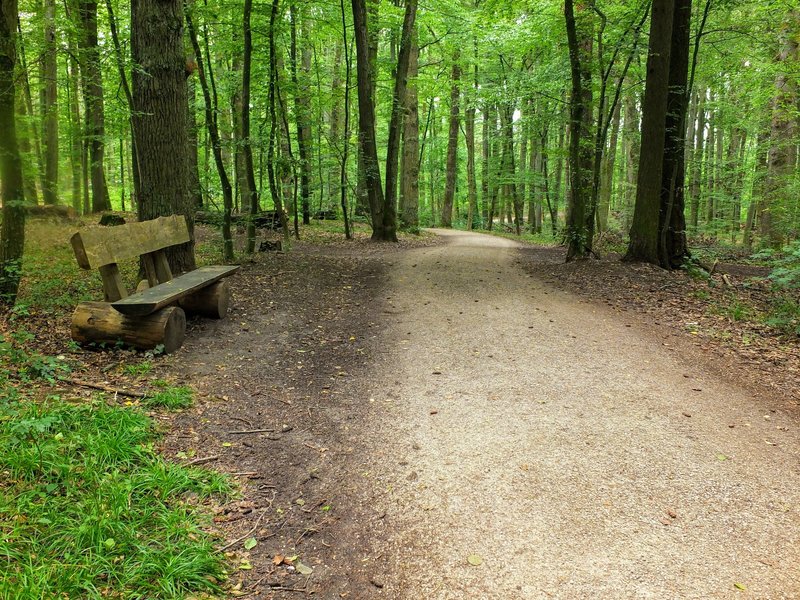 Trail on the Kellerberg.