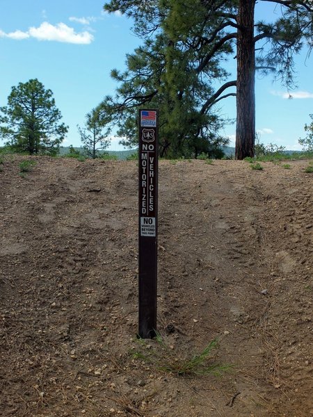 Trail marker where Goblin Loop route meets Forest Road 10.