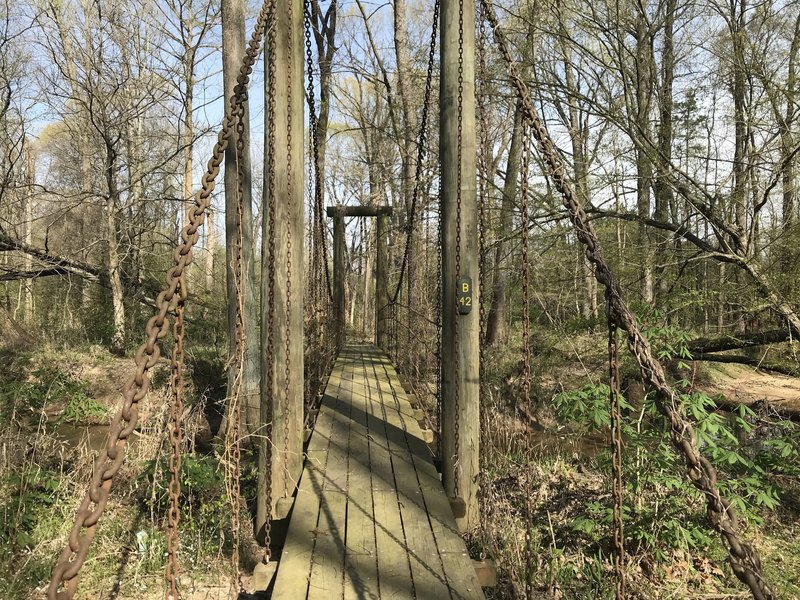 The last of three suspension bridges on Cane Creek Trail. This one is located just before mile 8 and crosses Cane Creek.