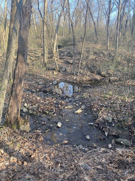 Small creek crossing.