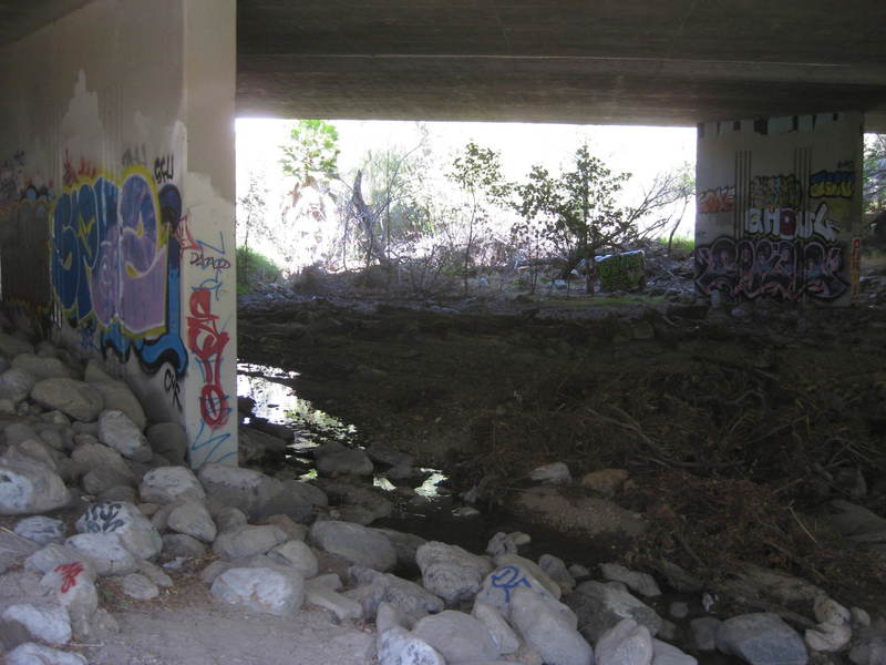 Creek under the freeway.