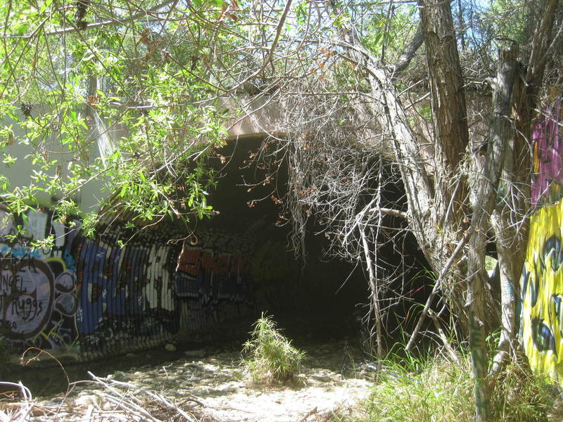 Culvert under Rinaldi