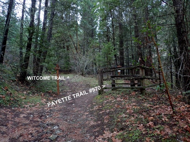 East end of the Witcome Trail