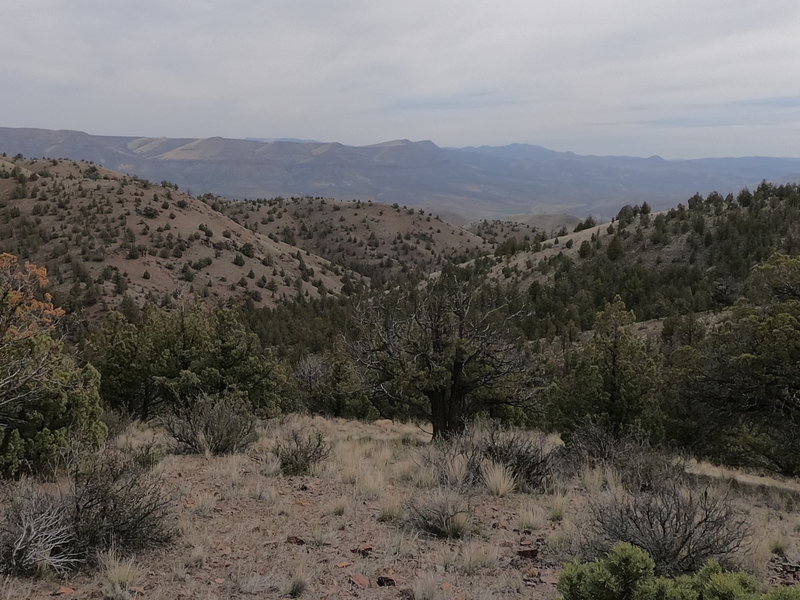 View east towards Sutton Mountain from knoll near Pat's cabin (4-2-2021).