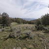 View east from in front of Pat's Cabin (4-2-2021)