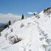 Looking back east almost to ridge.