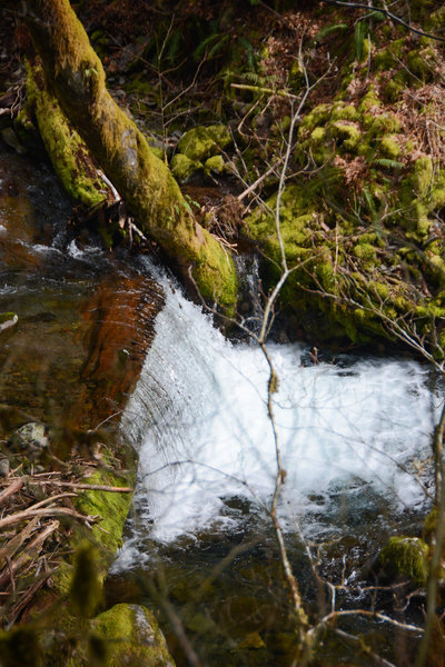 Nice views of North Fork Rock Creek from the PCT.