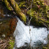 Nice views of North Fork Rock Creek from the PCT.