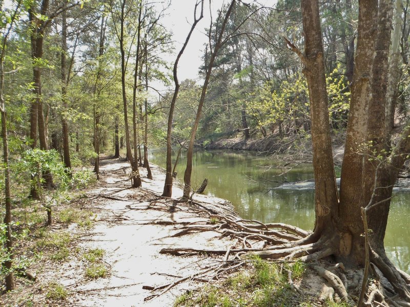 The Langham Creek channel between the dike and Park Row Road.