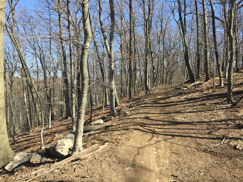 Otter Ramble - yellow trail heading north