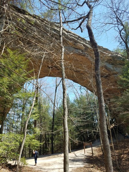 North arch