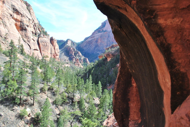 Looking back south into canyon near arch.