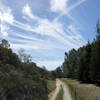 Little Shaw Valley trail after March 2021 erosion repair work.