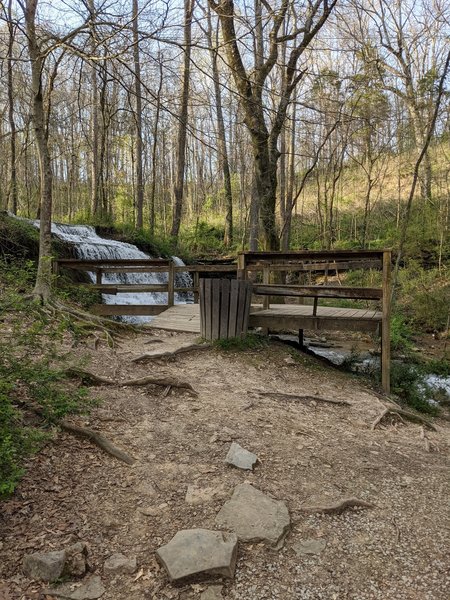 City Lake Falls viewing platform.