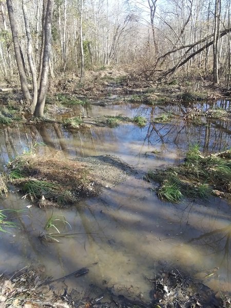 Boardwalk is gone, time to swim