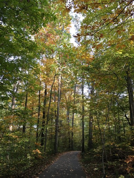 Rocky Run Trail - fall day.