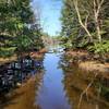 View of Beaver Lake from bridge