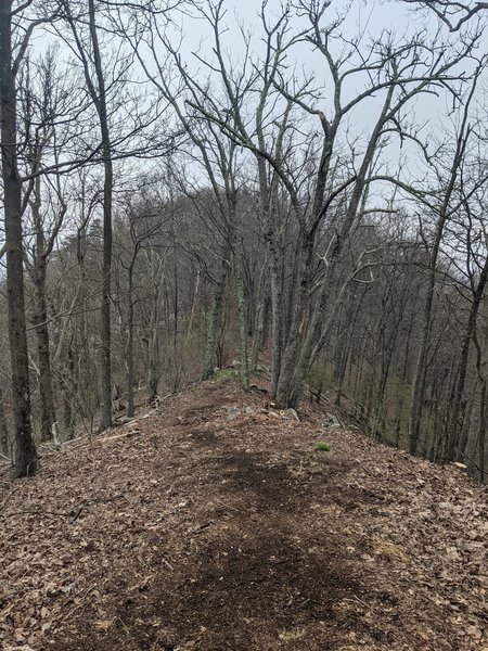 View along Broad Mountain trail