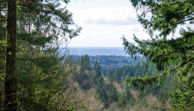 Views from the Shy Bear Lookout