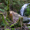 Coal Creek Falls from the bridge.