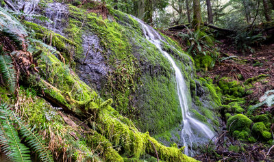 The mossy Doughtry Falls, just off the trail.