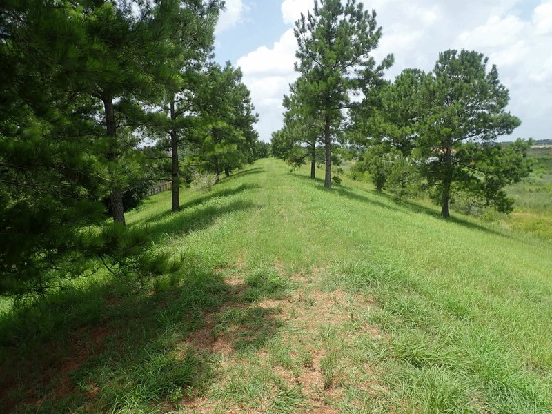 The path atop the dike.