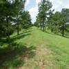 The path atop the dike.