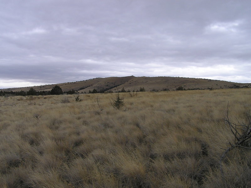 Looking southeast from plateau towards Sutton Mountain summit.