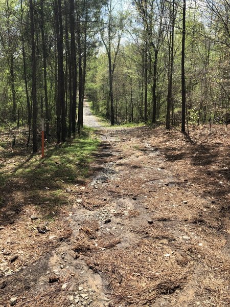 The trail begins as an access road with large gravel pieces. Watch your footing as the gravel tends to roll underfoot.