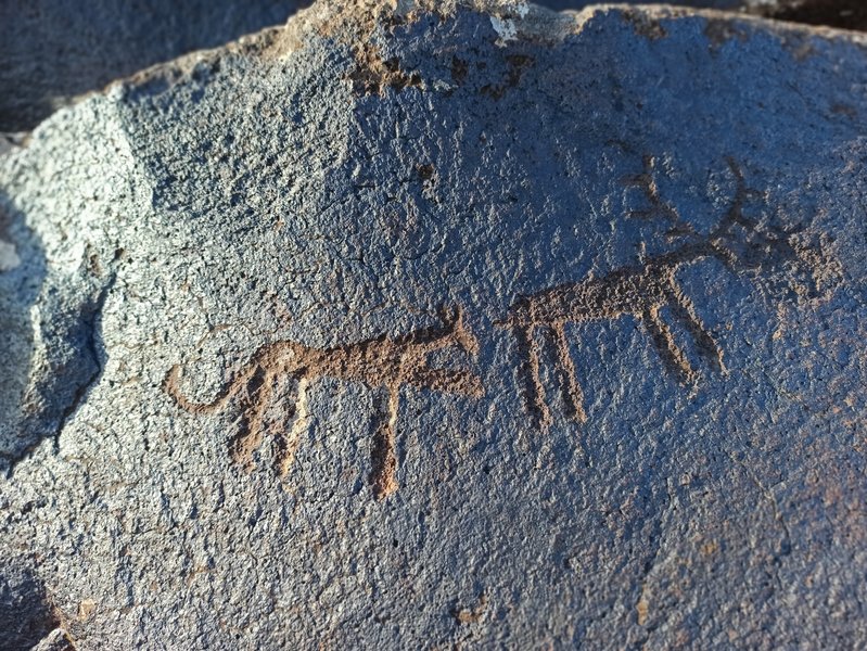 Gegham Mountain Petroglyphs