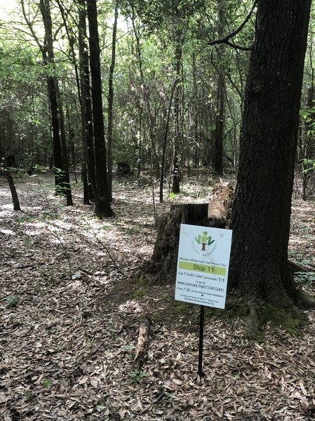 An interpretive point on the West Eleventh Street Park Trail.