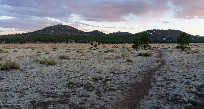 A trail leading out into Bonito Park.