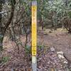 Trailhead sign for Big Pinnacle Trail with yellow blaze.