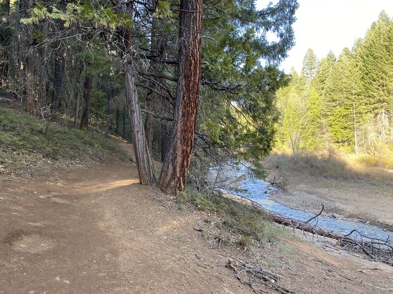 The trail meandering past Sly Park Creek.